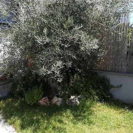 Panzió Villa Eudoro *